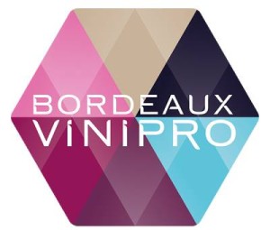 vert-de-vin-vinipro-bordeaux-3-300x255-2