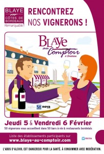 vertdevin-blaye-au-comptoire-bordeaux-2015-2