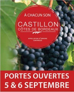 vertdevin-Portes Ouvertes 2015 en Castillon Côtes-de-Bordeaux-affiche