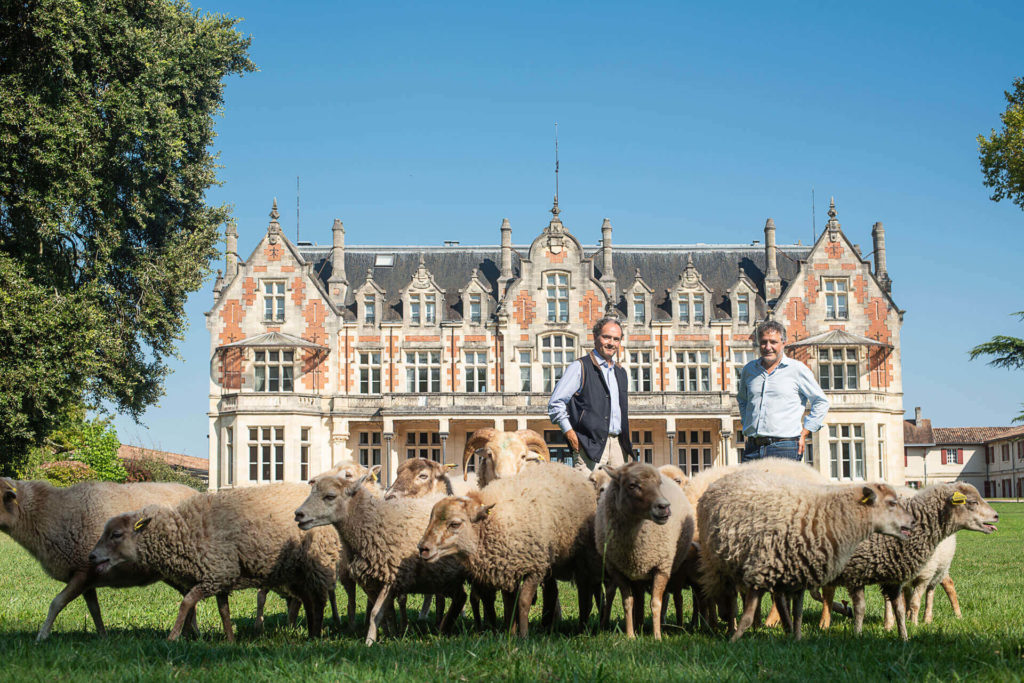 Château Cantenac Brown unveils a project to create the only ecologically responsible winery of its kind