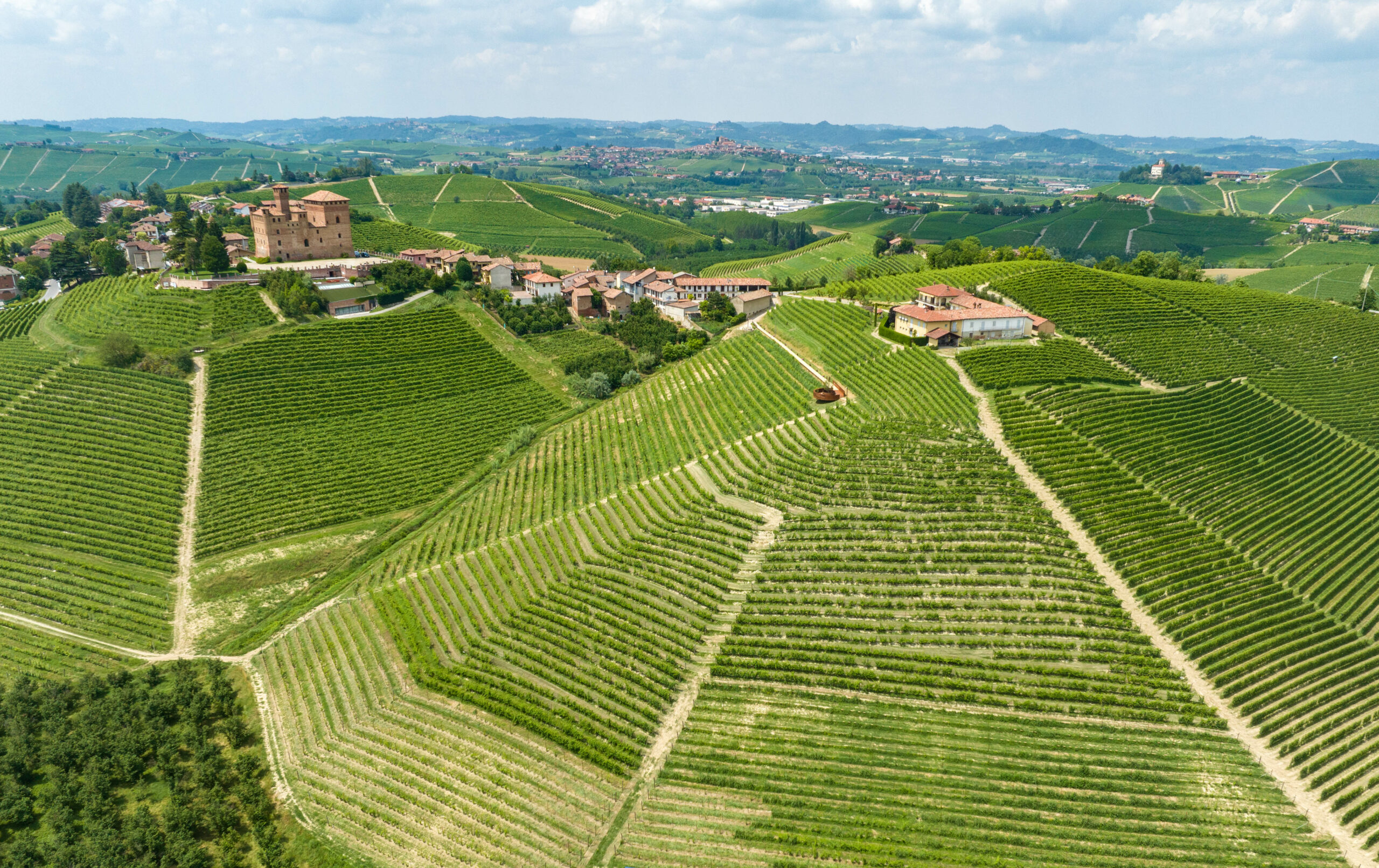 Barolo en primeur est de retour (pour la quatrième fois !)