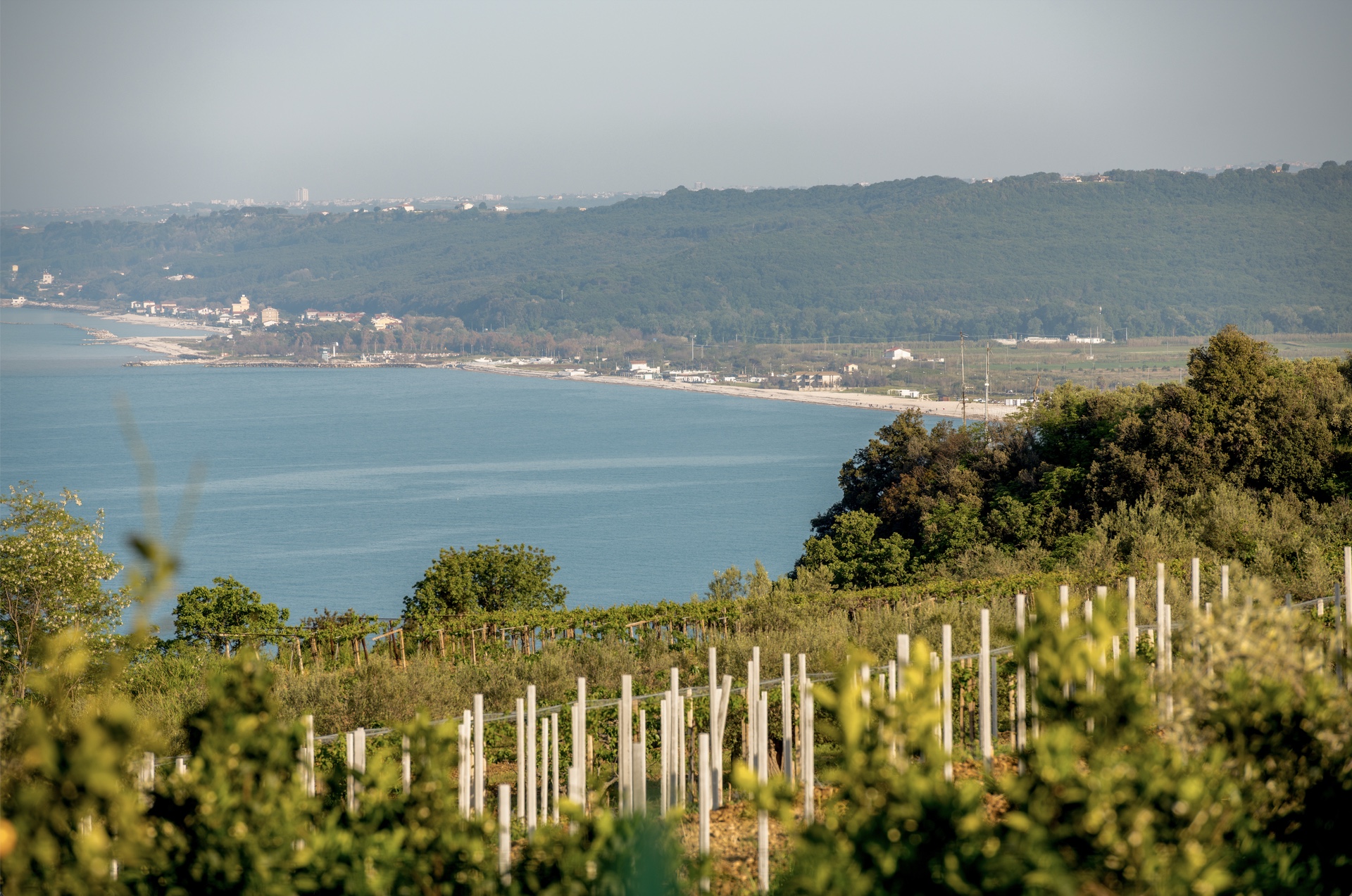 The wines of Abruzzo are “Superiori” 