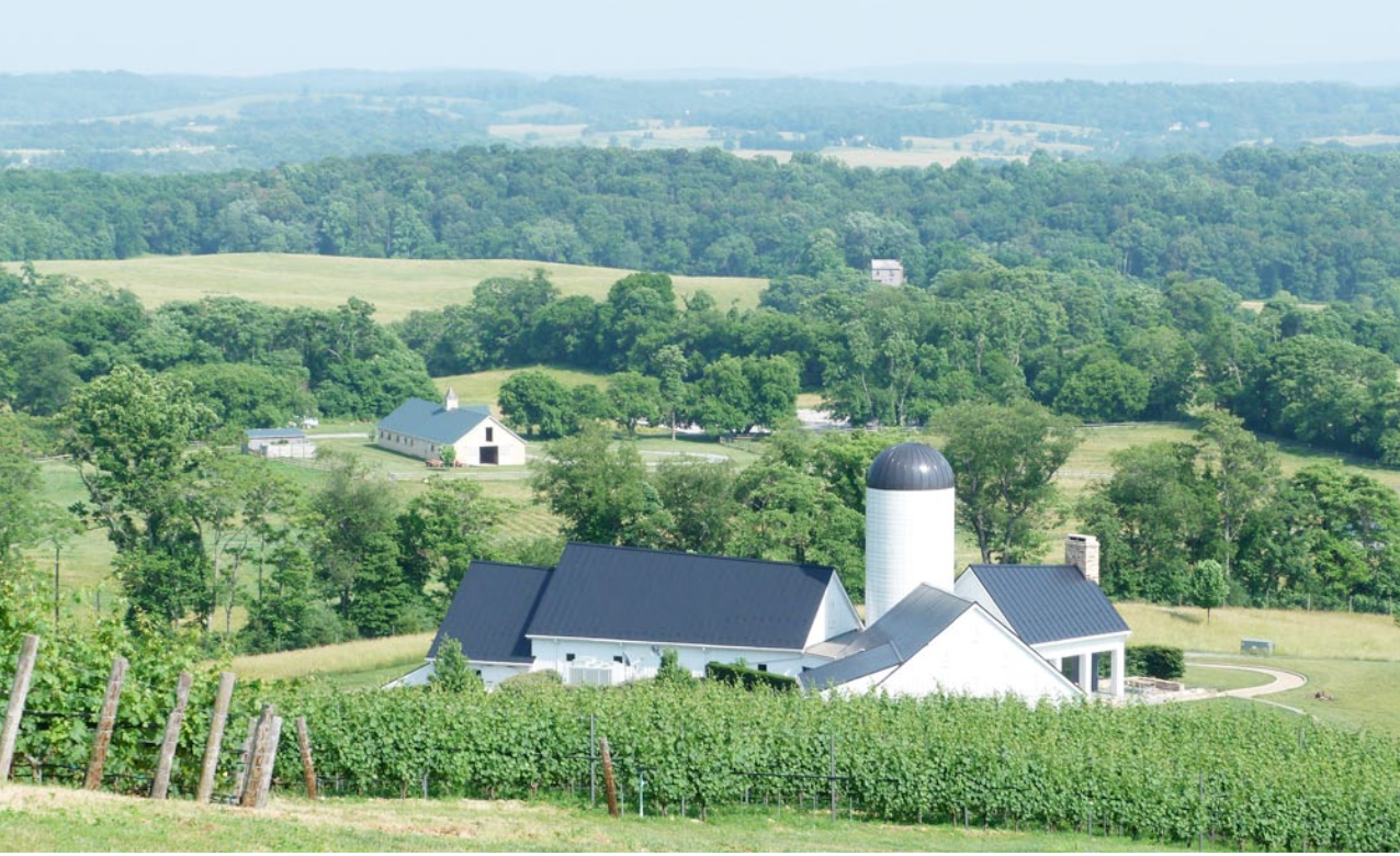 The Bouygues family acquires RdV Vineyard (Virginia, USA)