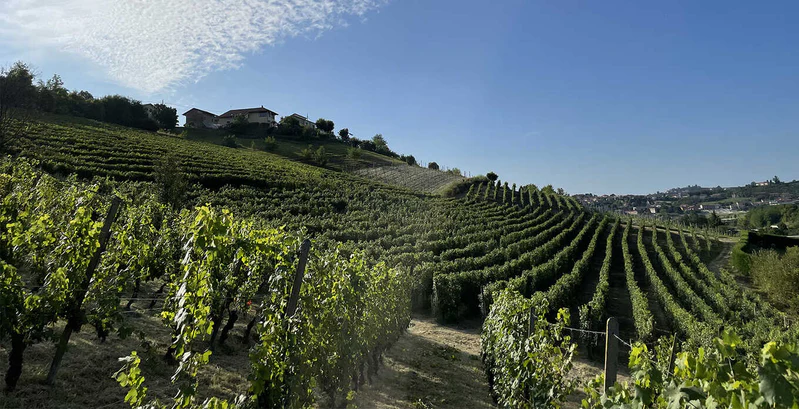 The Roero’s Nebbiolo shines through Cordero’s “Fuschia”