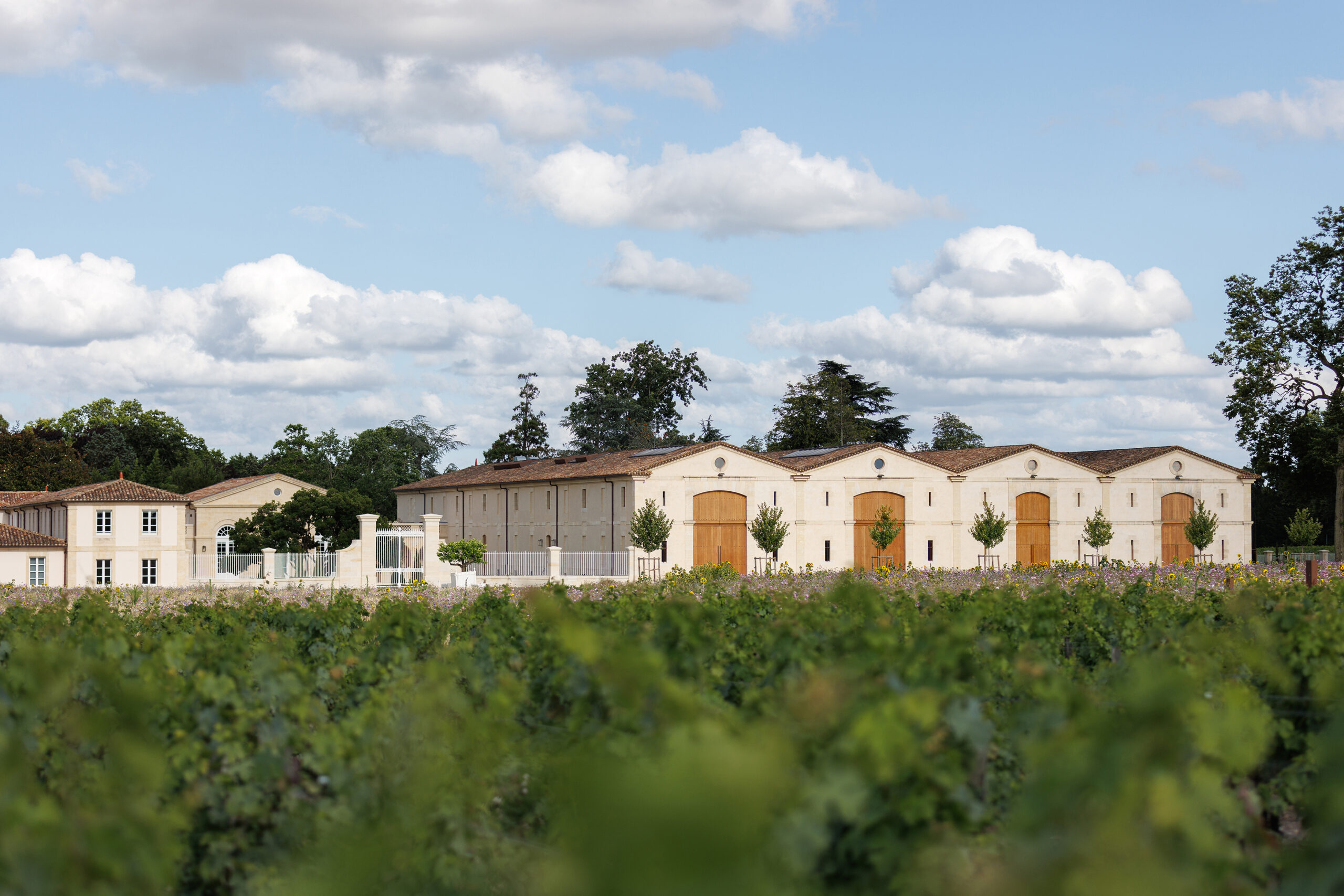 Château d’Armailhac: Terroirs of Cabernet Sauvignons