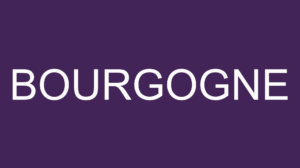 vertdevin magazine bourgogne dégustations