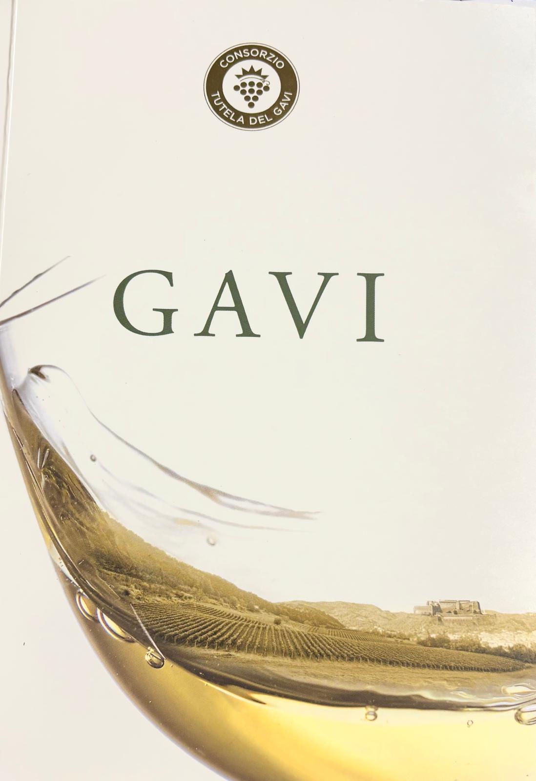 Gavi is back!