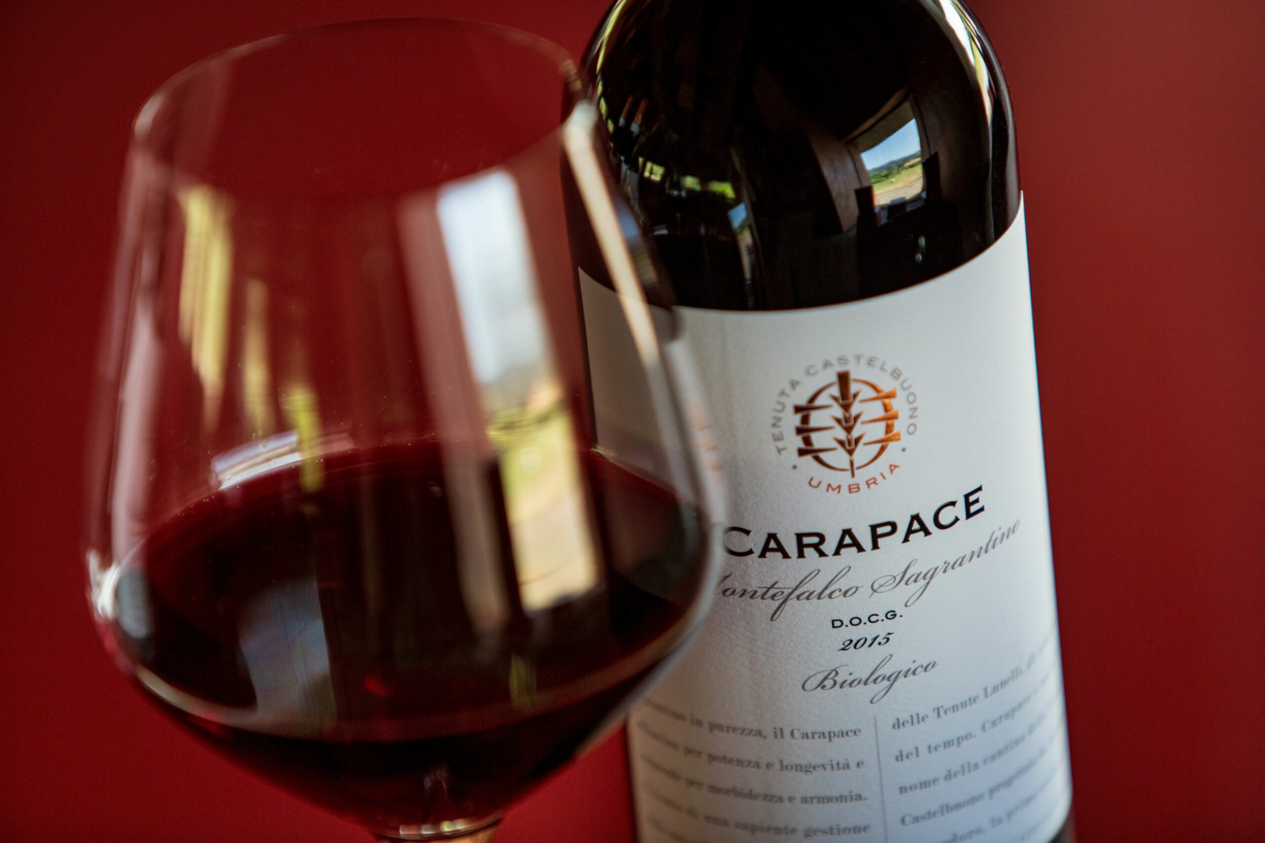 20 Years of Carapace