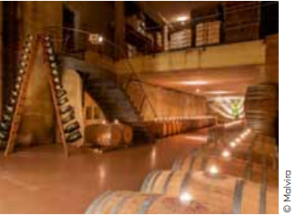 Azienda Agricola Malvira’: An inspiration for Roero during three generations