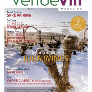 Vertdevin – N°21 PDF