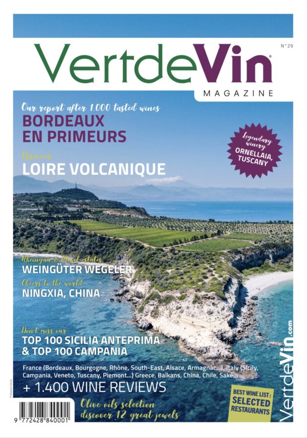 Vertdevin – N°29 PDF