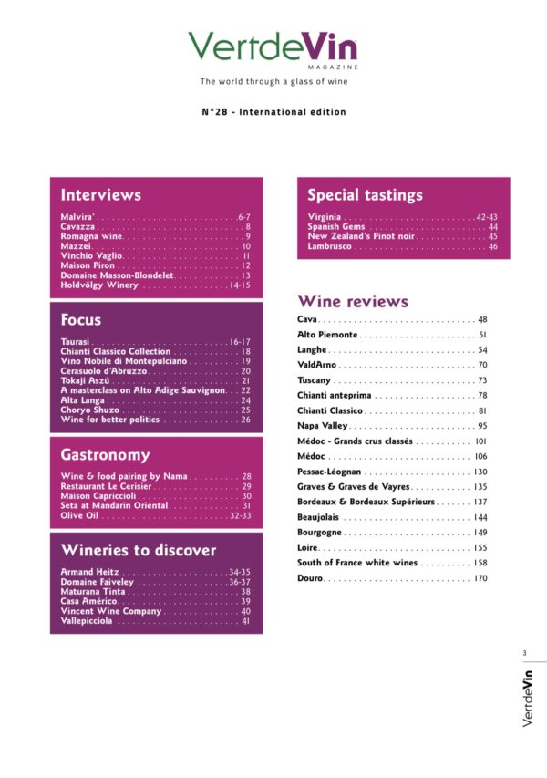Edition papier - Vertdevin N°28 – Image 2