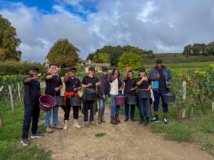 Bordeaux Mentor Week 2025: A 4th Edition with Prestigious New Partners harvest Saint-emilion