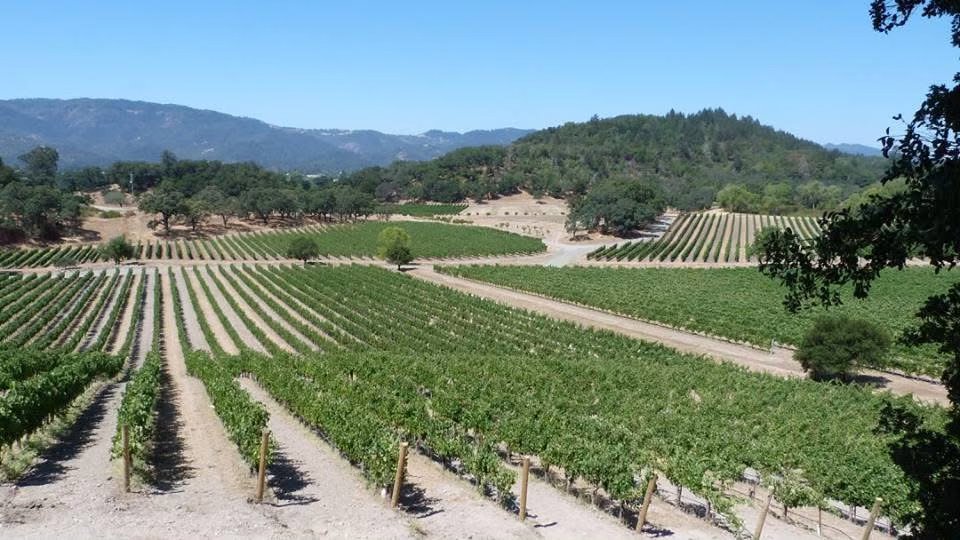 vertdevin magazine napa valley wine tasting winery california vineyard