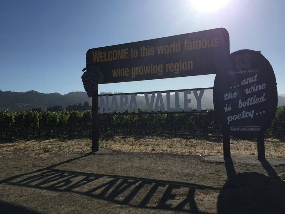 When Napa Valley Pulls Out Its Vines: A Vineyard in Search of Balance