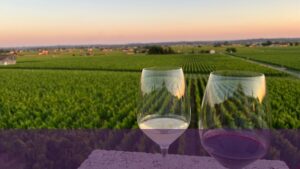 Vignoble de France – vins français – Vertdevin