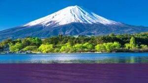 vignoble et spiritueux du Japon – vins japonais – Vertdevin