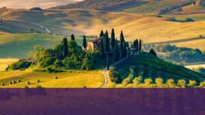 Vignoble d’Italie – vins italiens – Vertdevin