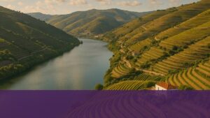 Vignoble du Portugal – vins portugais – Vertdevin