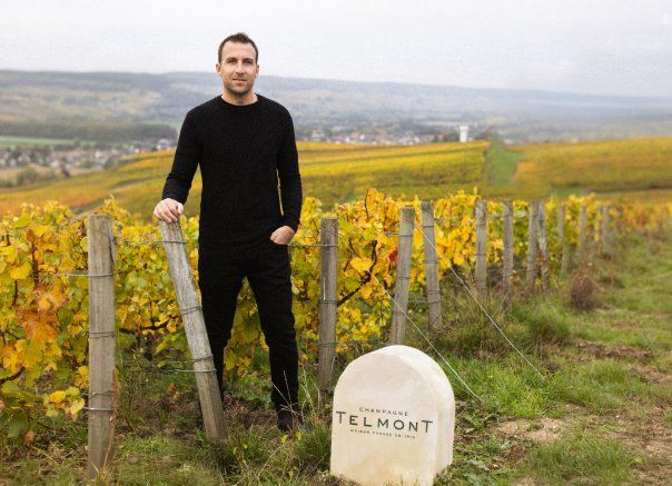 Vertdevin Magazine Brice Bezin becomes Cellar Master of Maison Telmont to carry forward the “In the Name of Mother Nature” project