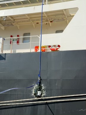Champagne Telmont fait voguer le champagne vers les États-Unis, une première à la voile Neoline