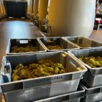 Château Kirwan unveils its first white wine: Blanc de Kirwan 2023
