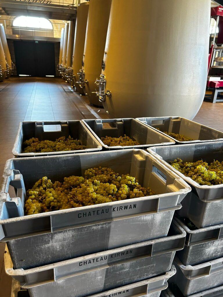 Château Kirwan unveils its first white wine: Blanc de Kirwan 2023