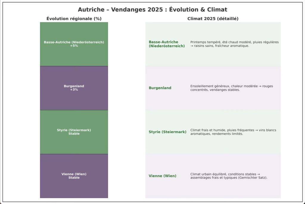 Vignoble d'Autriche: bilan des vendanges 2025 rapport