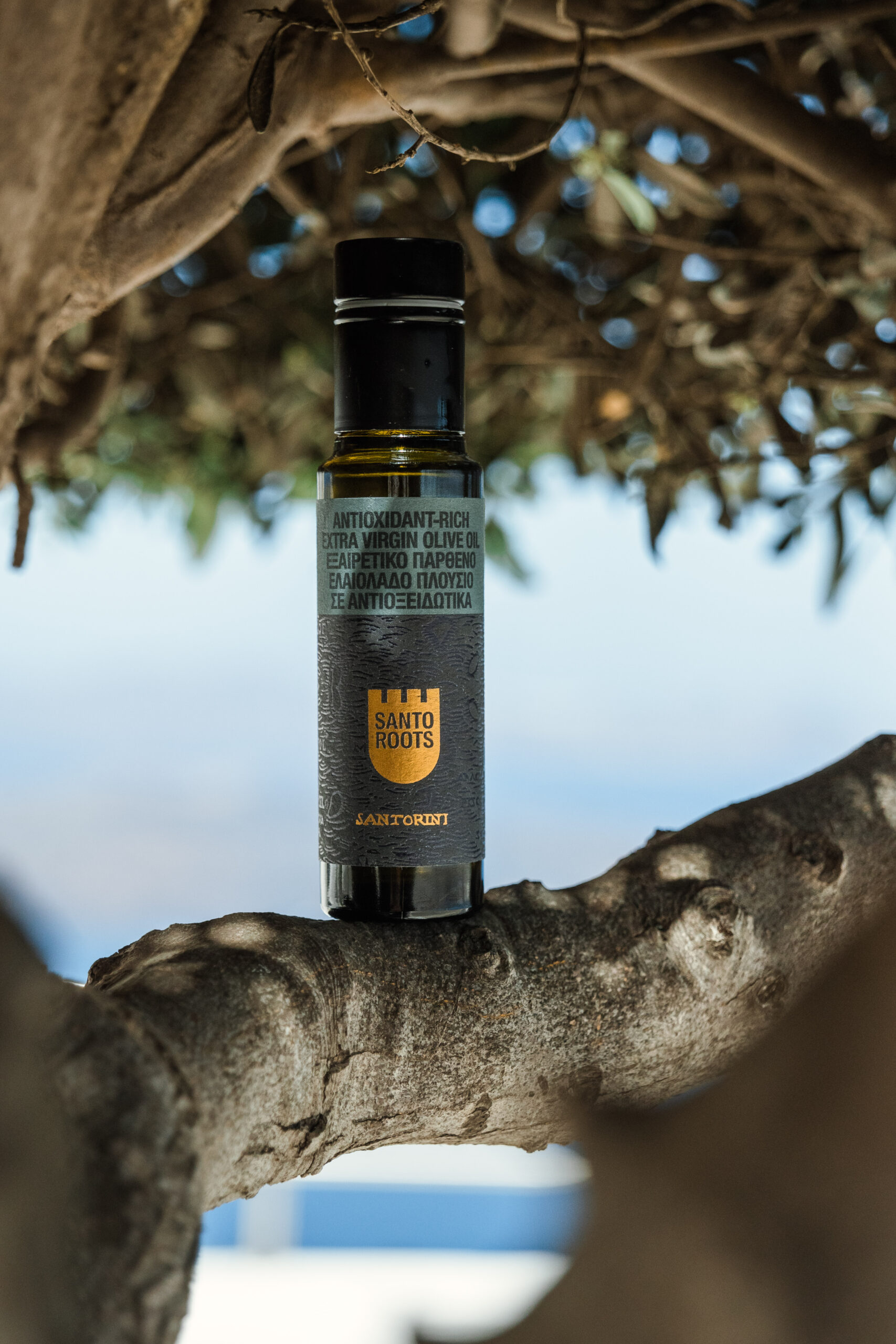 Santo Roots Huile d’Olive Extra Vierge Riche en Antioxidants (Santorini, Grèce)
