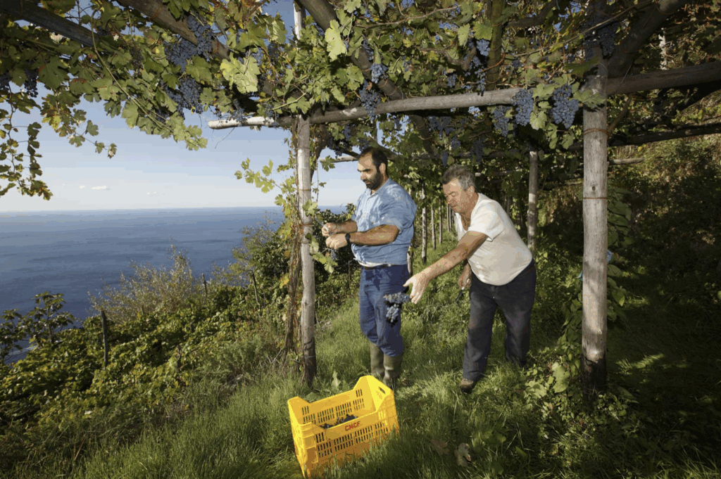 Les Vins Extrêmes 2025 revient au Forte di Bard