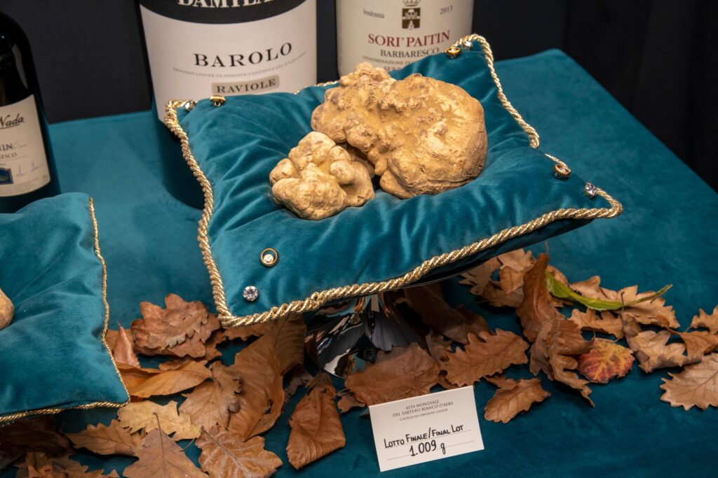 vertdevin magazine auction XXVI Asta Mondiale del Tartufo Bianco d’Alba