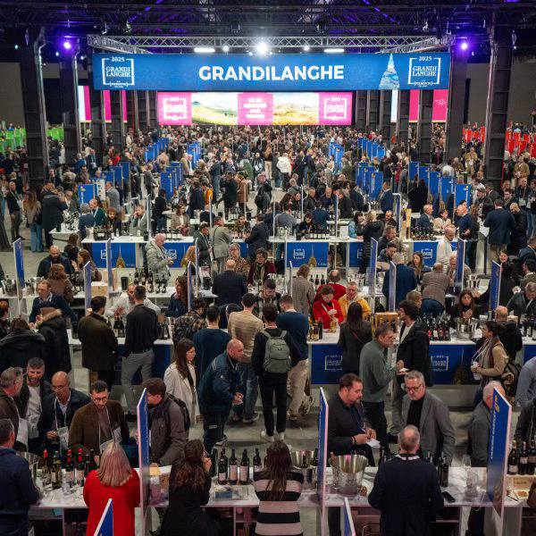 À Turin, Grandi Langhe 2026 célèbre la mosaïque viticole du Piémont. Des Langhe à l’Alto Piemonte, deux jours pour appréhender la diversité et la dynamique des appellations régionales