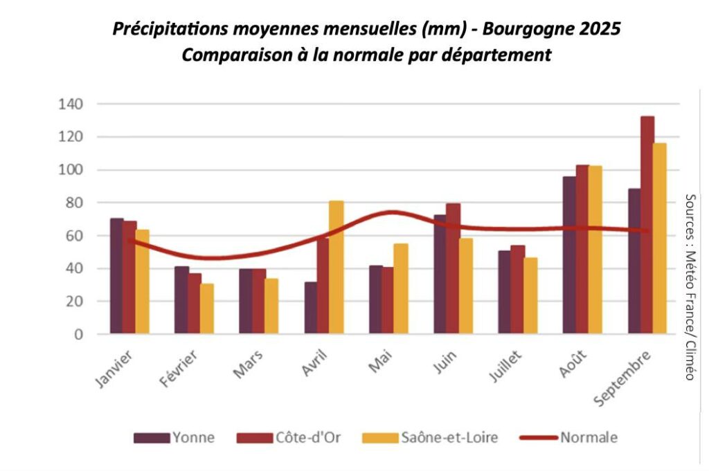 vertdevin magazine Chablis 2025 harvest vendanges millesime bourgogne