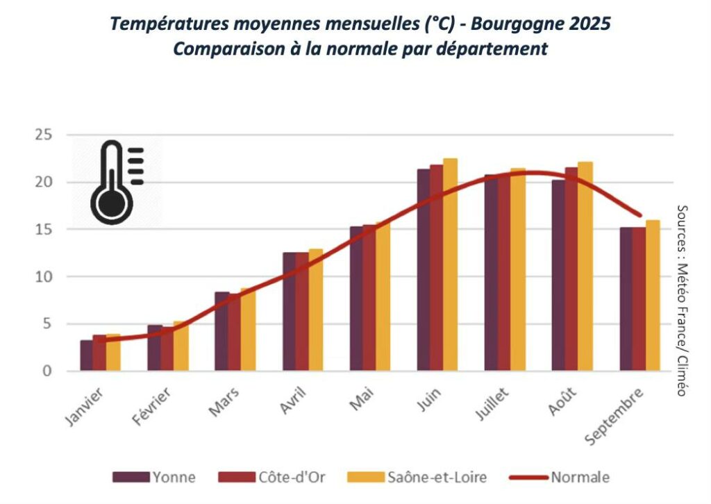 vertdevin magazine Chablis 2025 harvest vendanges millesime bourgogne