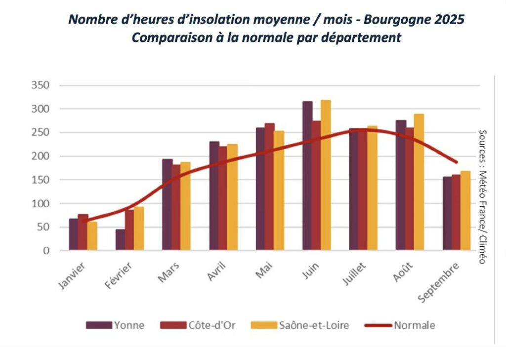 vertdevin magazine Chablis 2025 harvest vendanges millesime bourgogne