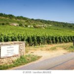 Chine : 70 nouvelles AOP de Bourgogne désormais enregistrées et protégées