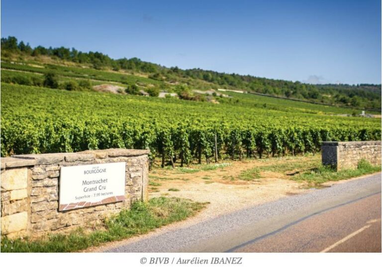 Chine : 70 nouvelles AOP de Bourgogne désormais enregistrées et protégées