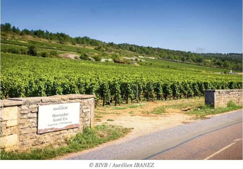 Chine : 70 nouvelles AOP de Bourgogne désormais enregistrées et protégées