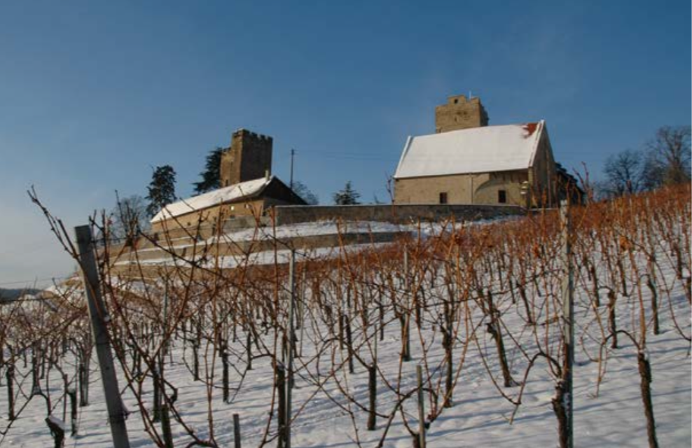 WEINGUT GRAF NEIPPERG