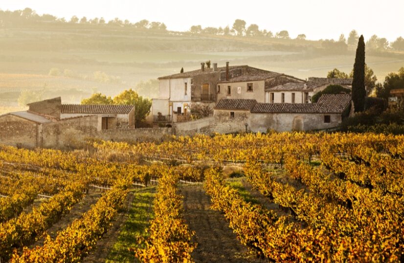 Cava : cinq nouveaux Paraje Calificado au sommet de la hiérarchie qualitative