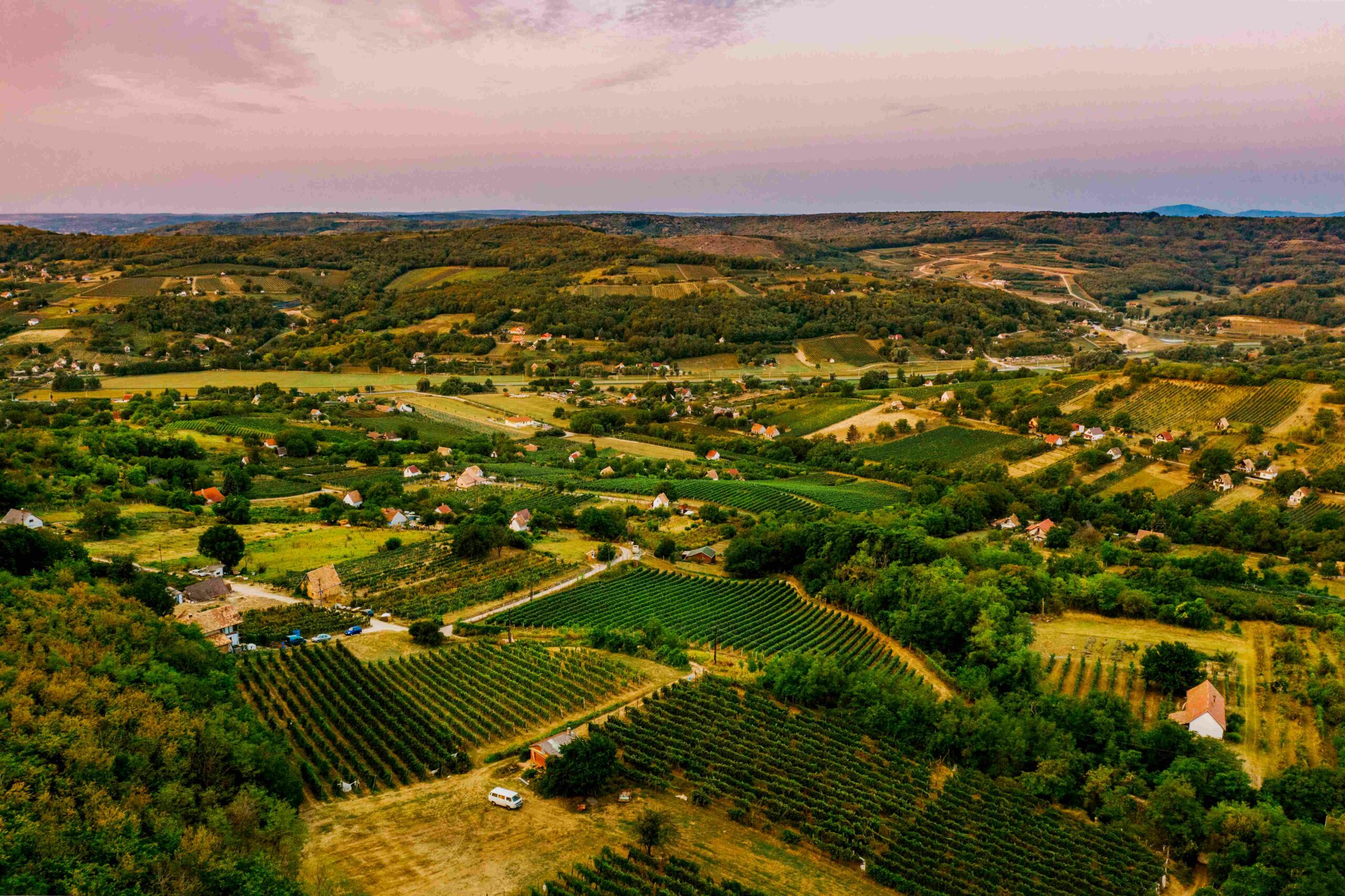 Au-delà de la bouteille : Loess et ambition
