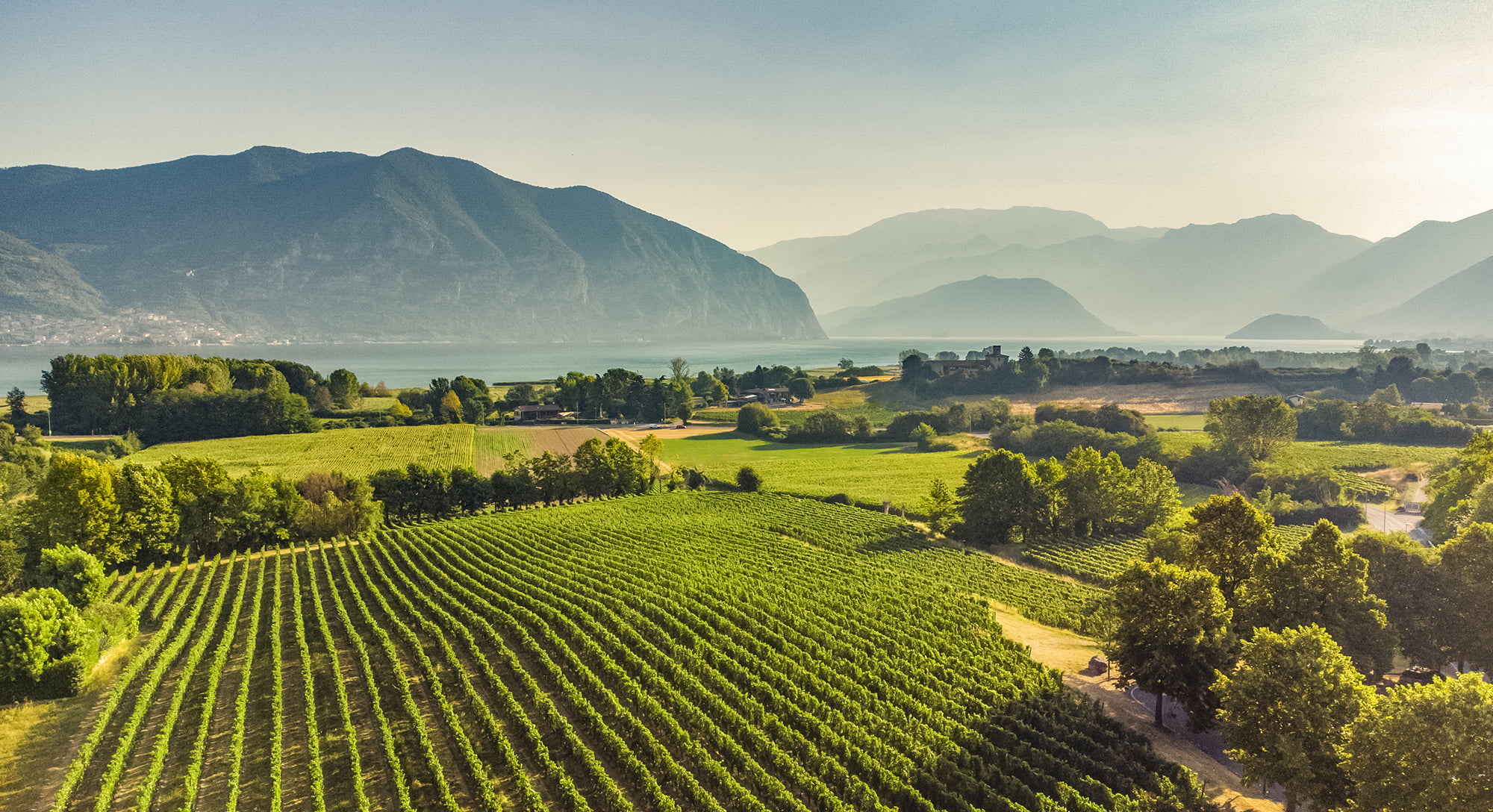 Muratori: a promising future for Franciacorta, built on vision and quality