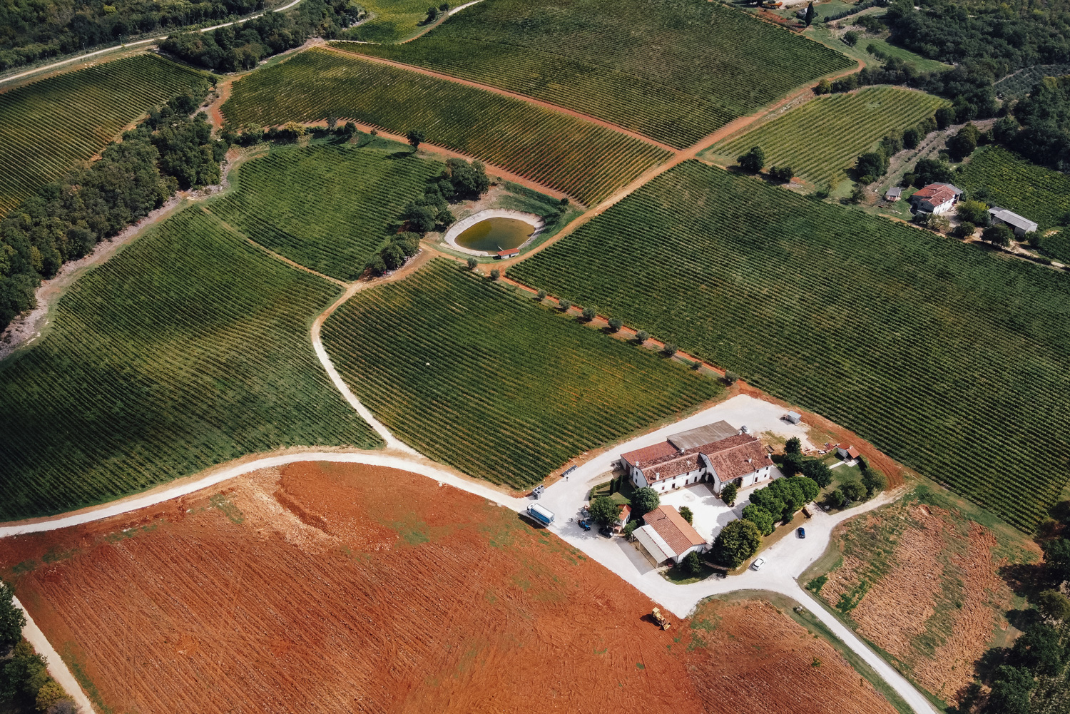 Cavazza