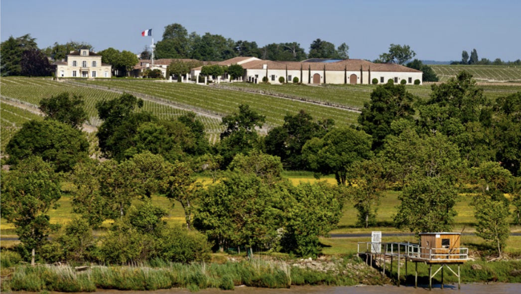 Château Montrose