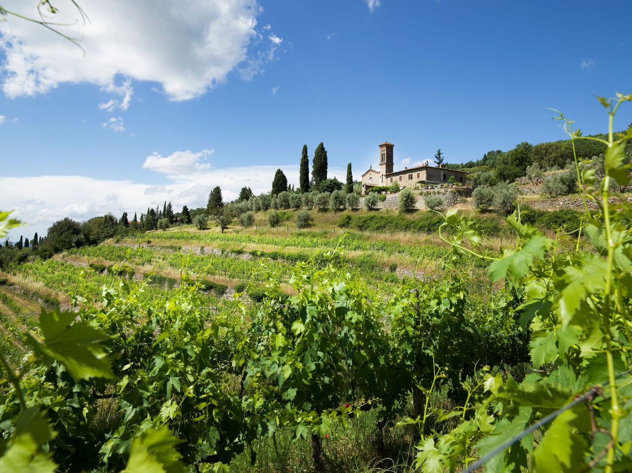 Querciabella, un domaine qui a accompagné la renaissance du Chianti Classico