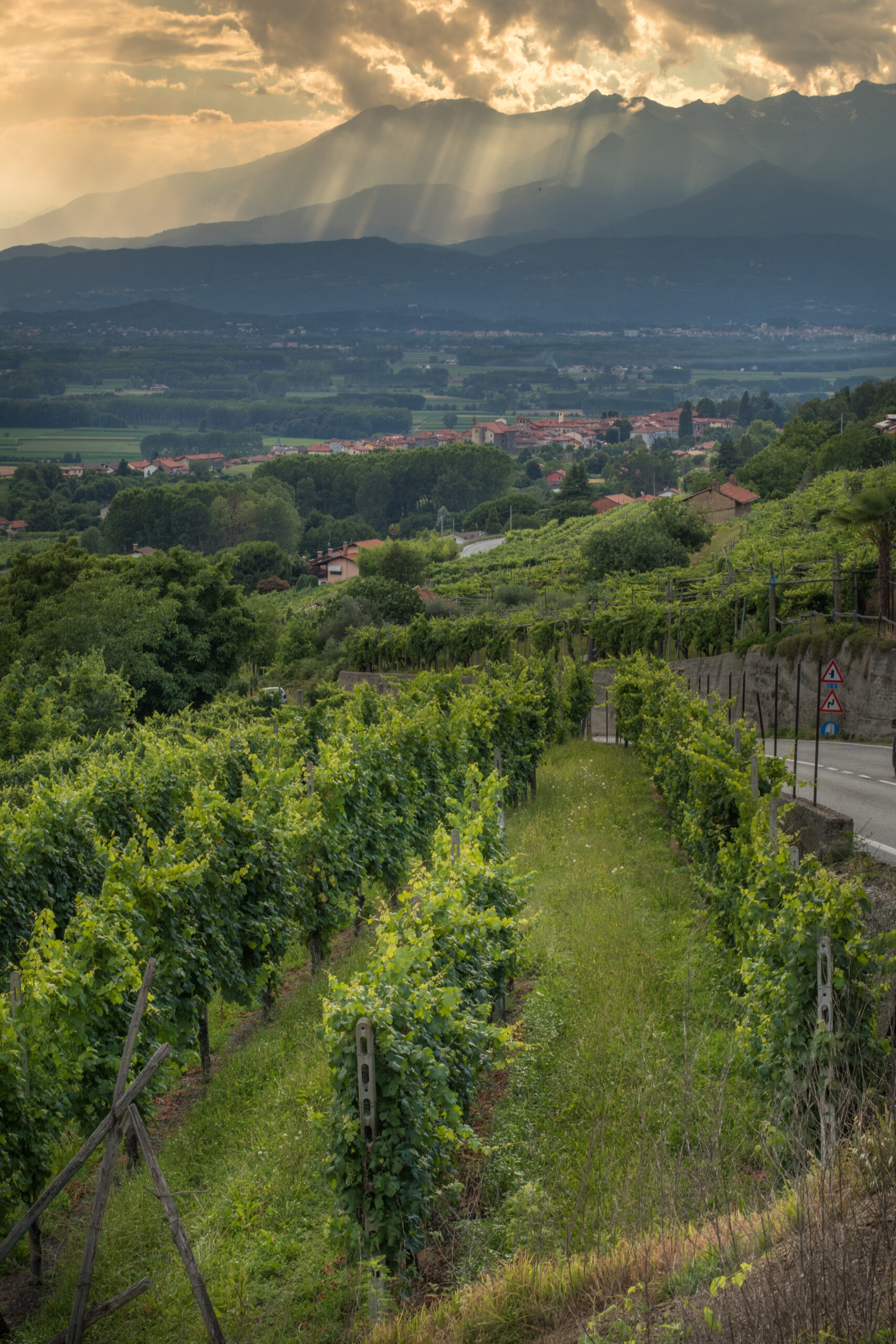 Serra Morenica Ivrea