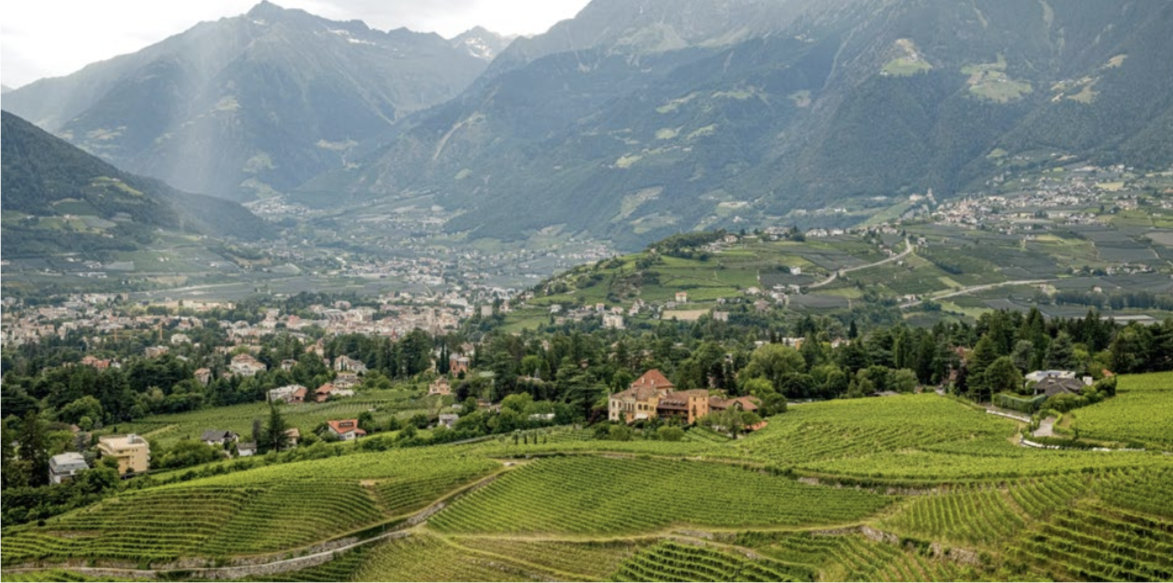 10 cuvées coup de cœur pour voyager à travers l’Alto Adige