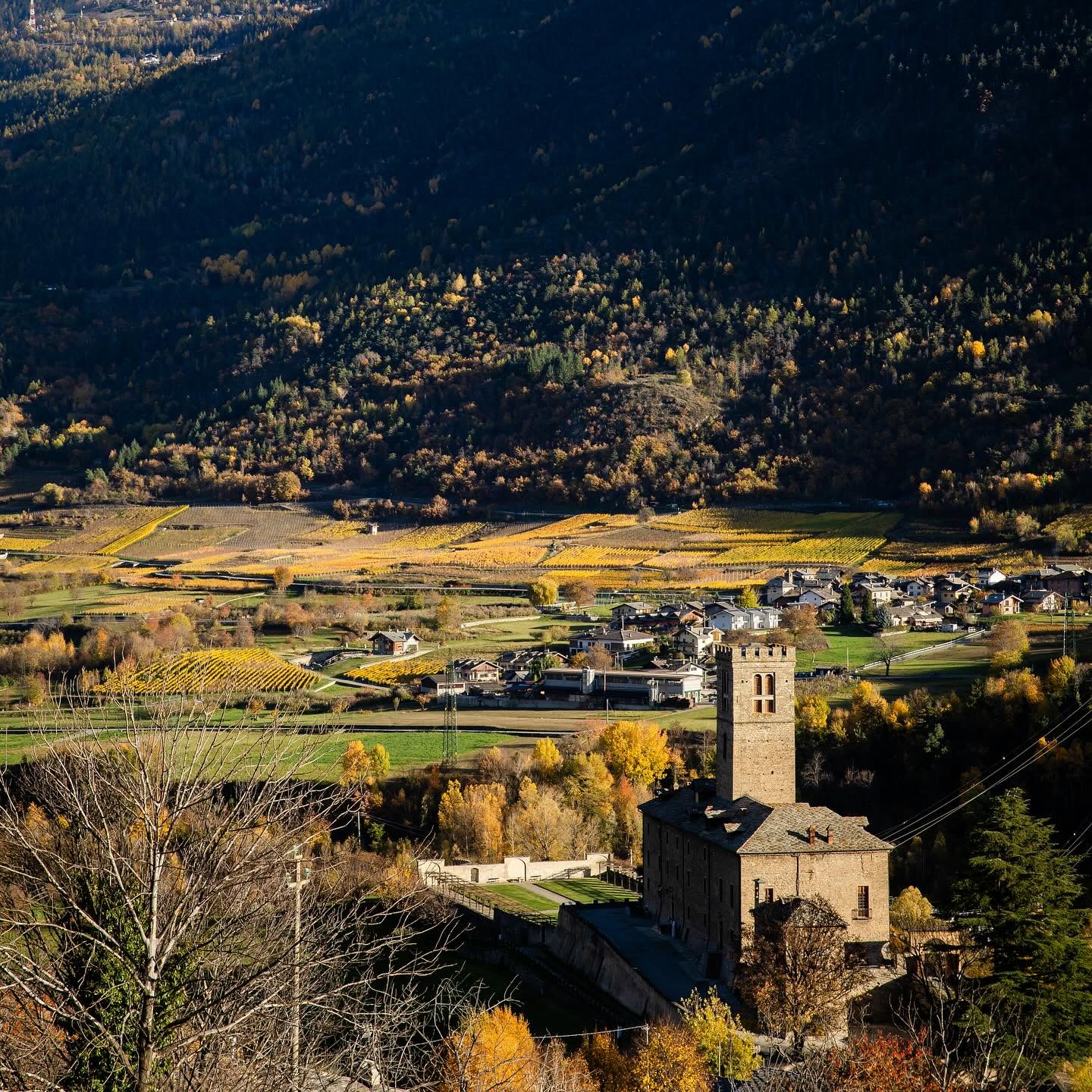 Les vins de la Vallée d’Aoste
