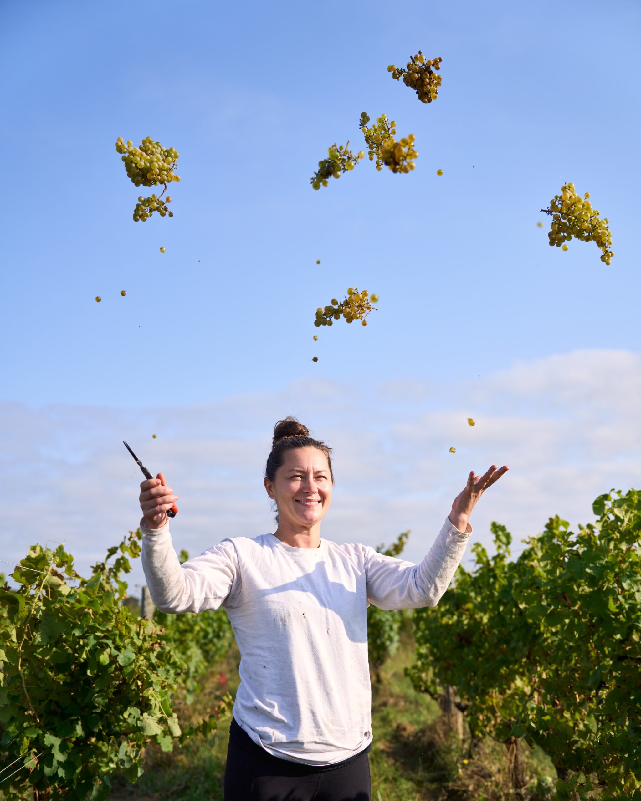 Premières Côtes de Bordeaux : l’appellation prépare son renouveau à l’horizon 2028