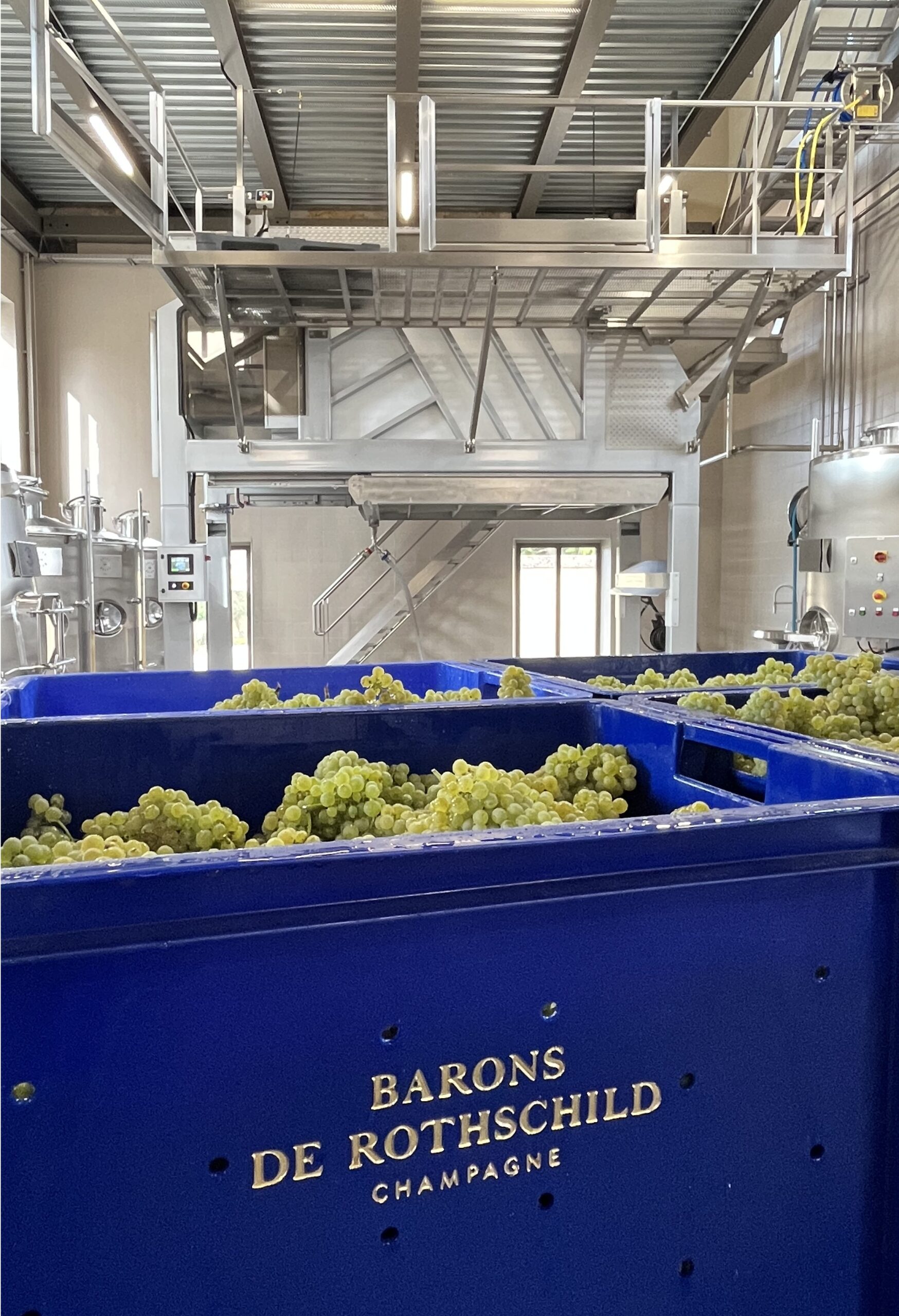 Champagne Barons de Rothschild achève une vendange 2026 historique dès le mois d’août